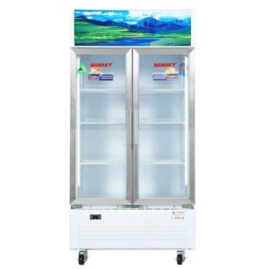 Tủ mát Sanaky VH-6009HP dung tích 600 lít, 2 cánh mở