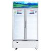 Tủ mát Sanaky VH-1209HP3 dung tích 1100 lít có công nghệ inverter tiết kiệm điện