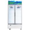 Tủ mát Sanaky VH-8009HP3 dung tích 700 lít inverter tiết kiệm điện