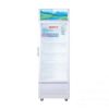Tủ mát Sanaky VH-218K3L 170 lít inverter tiết kiệm điện, 1 cánh mở